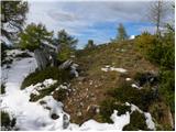 Baumgartnerhof - Maloško poldne / Mallestiger Mittagskogel